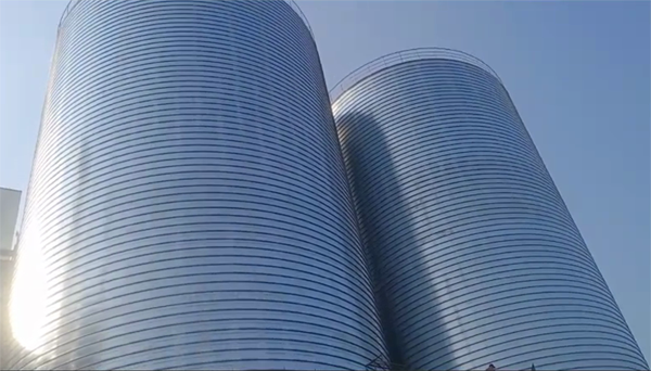 菏泽2座混凝土高架卷板仓